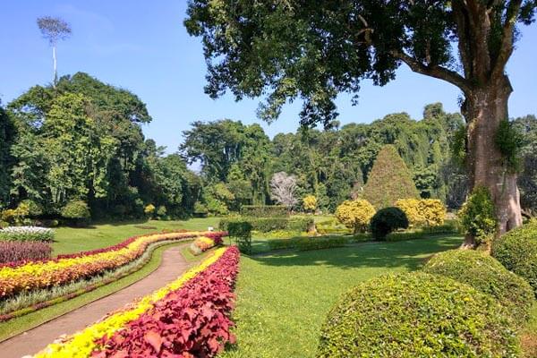 Peradeniya Botanical Gardens