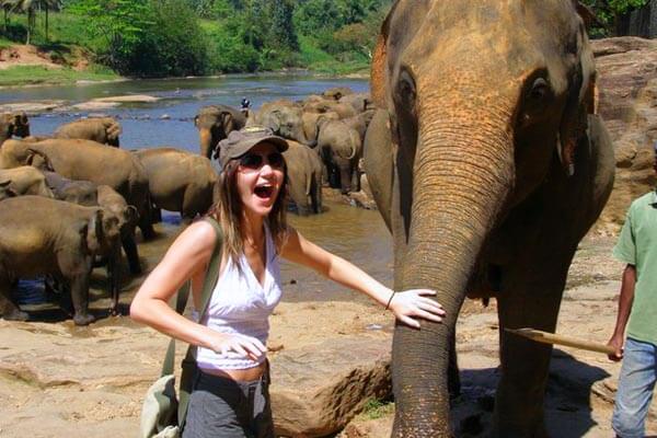 Pinnawala Elephant Orphanage