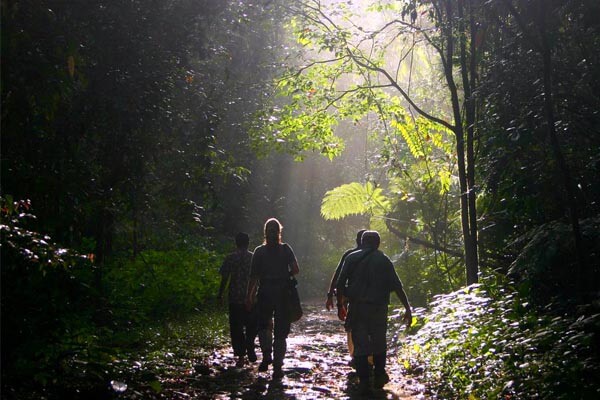 Sinharaja Rain Forest Trekking
