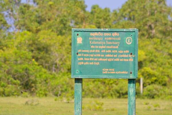The Kalametiya Bird Sanctuary