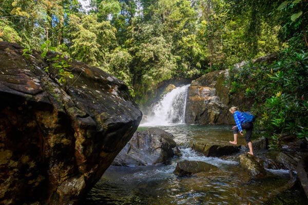 Watefalls in Sinharaja Rain Forest