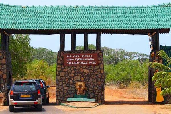 Yala National Park